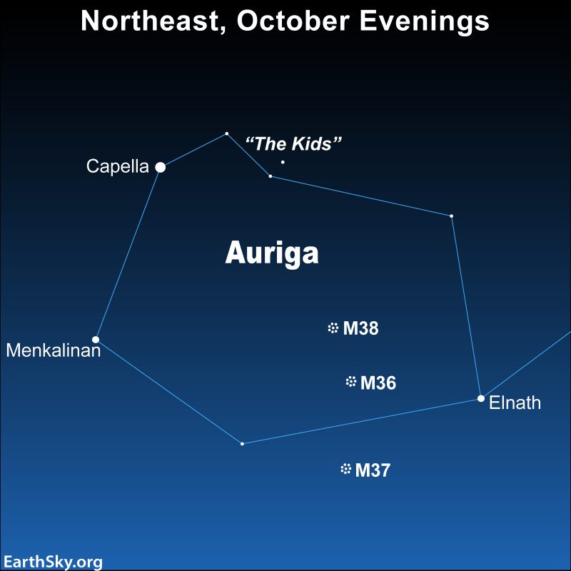 Flashing star in autumn? Here are 3 candidates