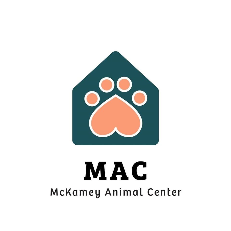 McKamey Animal Center celebrates 326 July adoptions