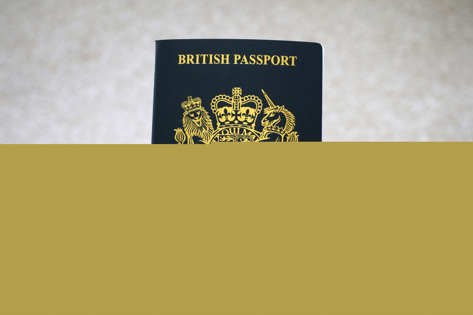 Comment on Foreign Office issues warning to UK passport holders by Sword Star
