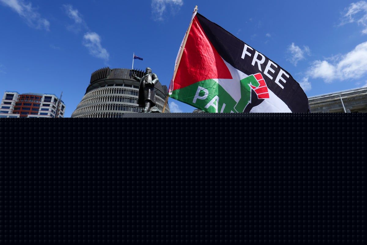 New Zealand government faces backlash for not recognising Palestinian state
