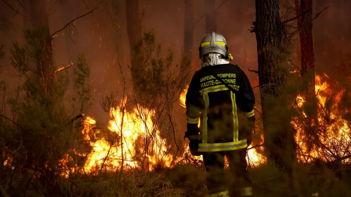 Frankreich und Spanien: EU schickt Flugzeuge und Helfer gegen Waldbrände