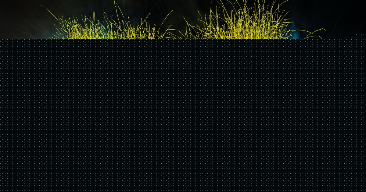 Drug dogs, surrender bins and officers ready for Kendal Calling crowds