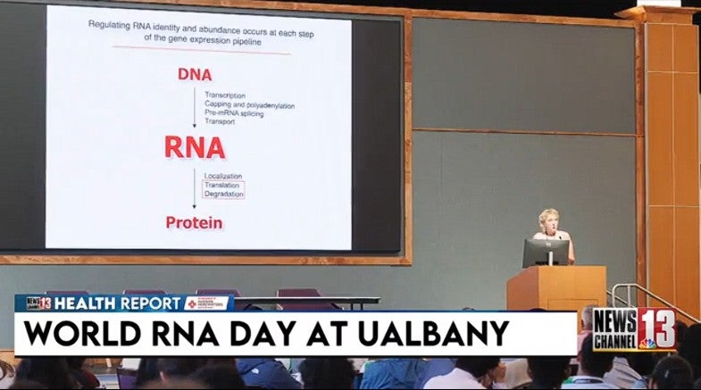 UAlbany marks World RNA Day with $7.3M research grant