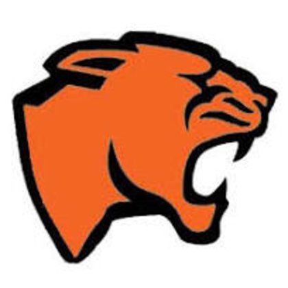 Gardner-South Wilmington boys basketball outlasts Herscher in double OT: Wednesday’s Daily Journal roundup