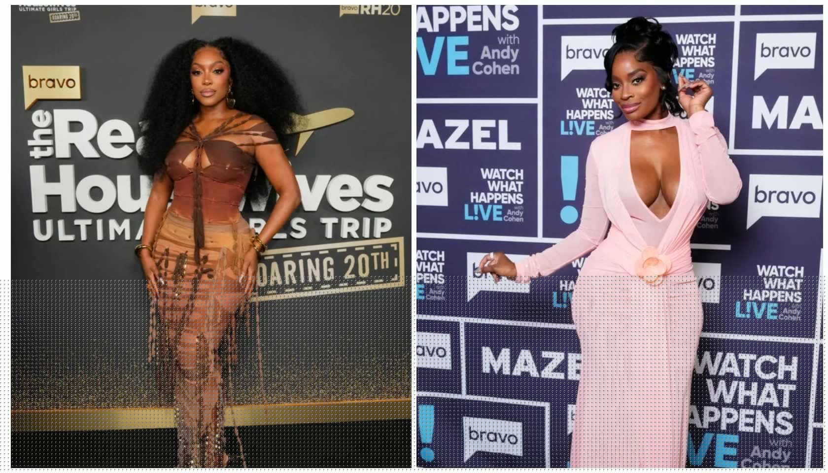 Ex-Friend Files: Fans Of Porsha Williams & Shamea Morton Release Receipts To Show Who’s REALLY ‘Lying’ About Shamea’s Stalled Peach