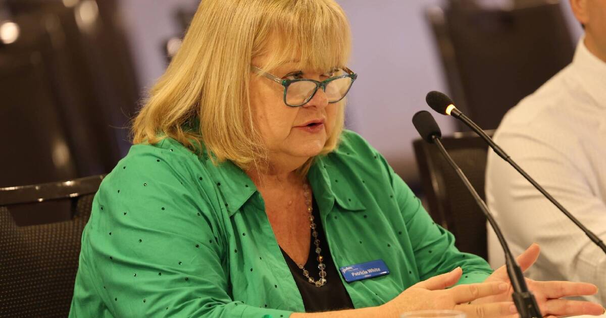 Shoalhaven Council rallies behind Mayor Patricia White following serious health news