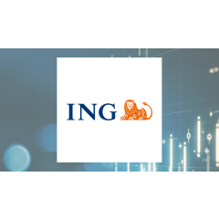 China CITIC Bank (OTCMKTS:CHCJY) vs. ING Group (NYSE:ING) Financial Review