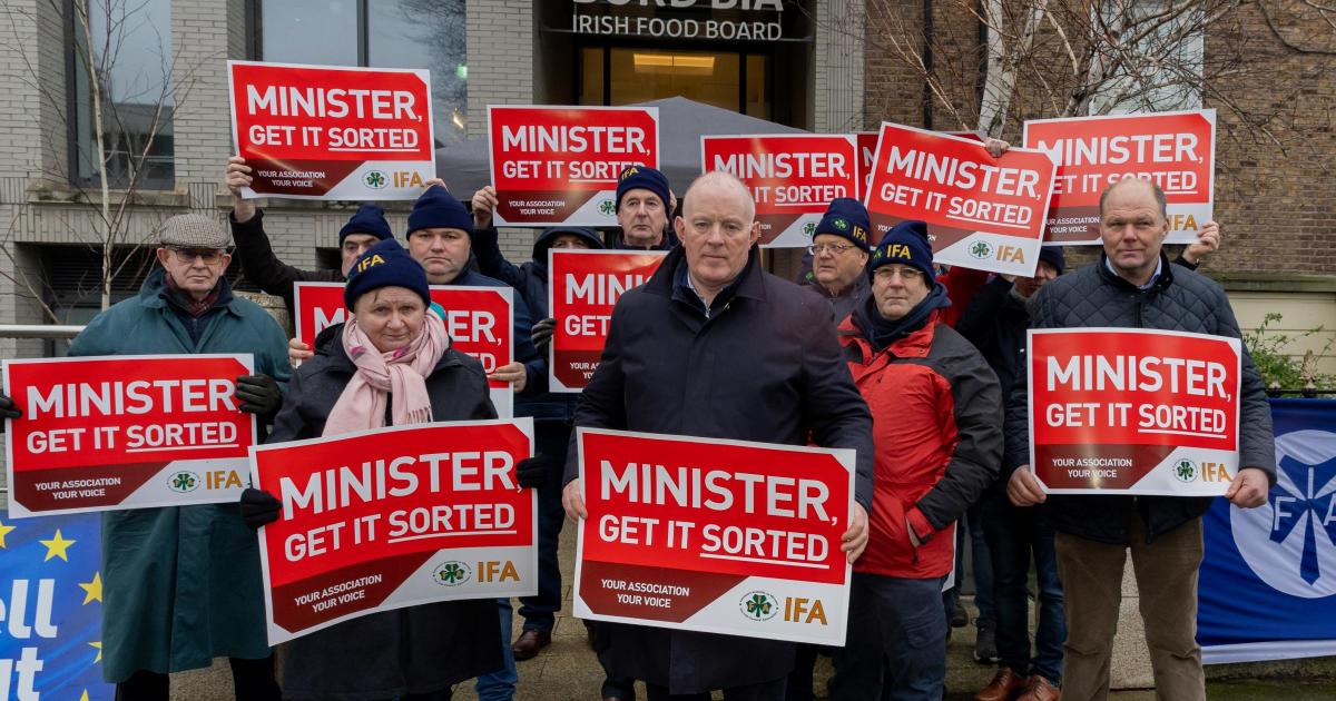 IFA protests Bord Bia decision to retain chair amid Brazilian beef row