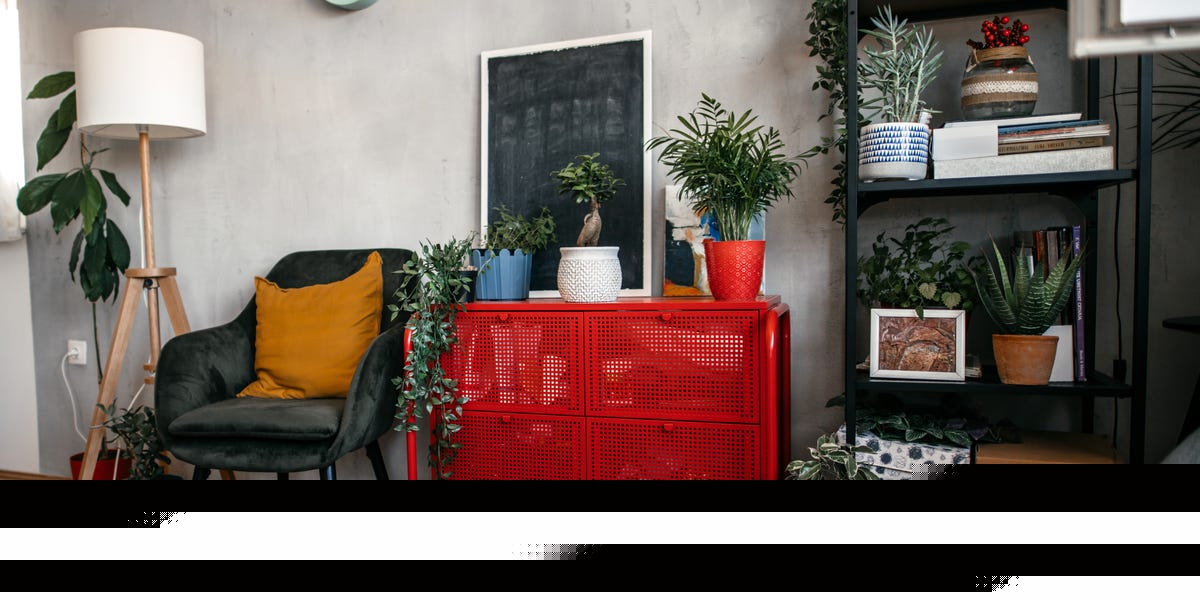 Why Designers Are Obsessed With TikTok's "Unexpected Red" Theory