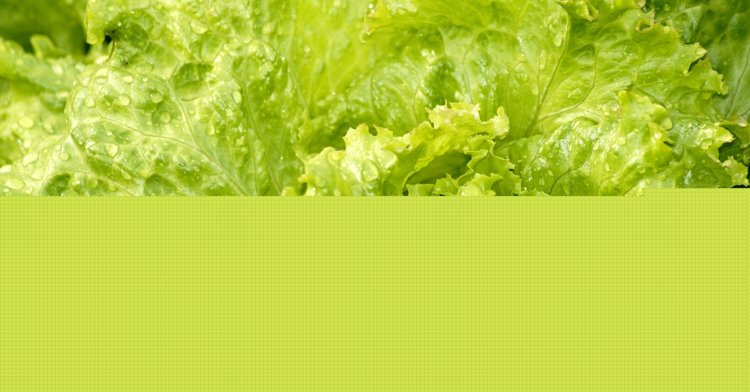 Navigating the Cyclospora Outbreak