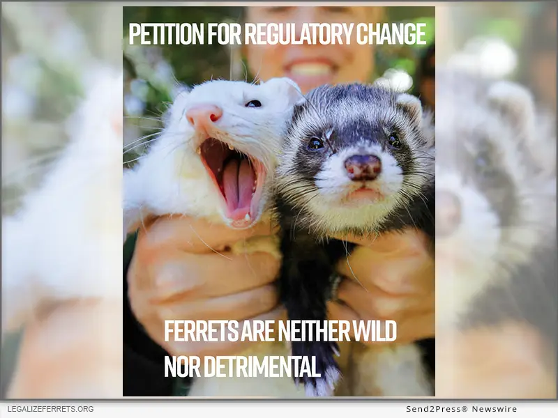 California’s Ferret Ban Inherited in 1933 and Never Determined – Petition to Change in 2025