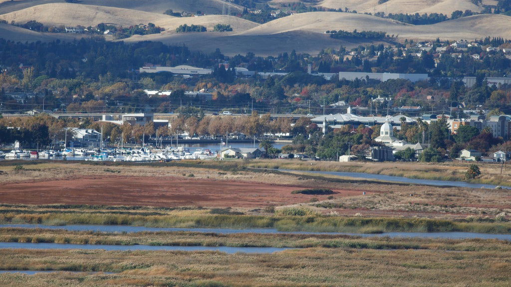 Northern California city declares emergency after malware disrupts 911, public safety systems