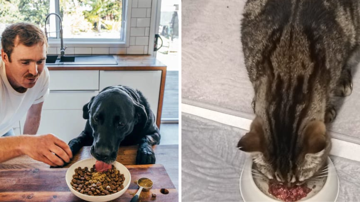 Aussie pet owners swear by this surprising ingredient: ‘The difference has been incredible’