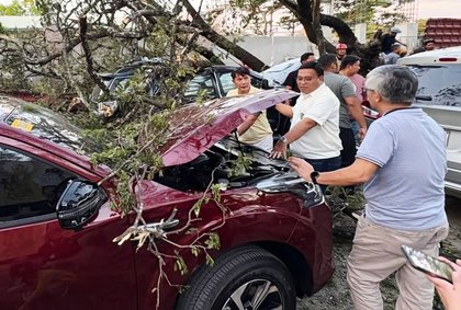 Vehicles Set for Blessing Damaged After Tree Falls at Our Lady of Manaoag
