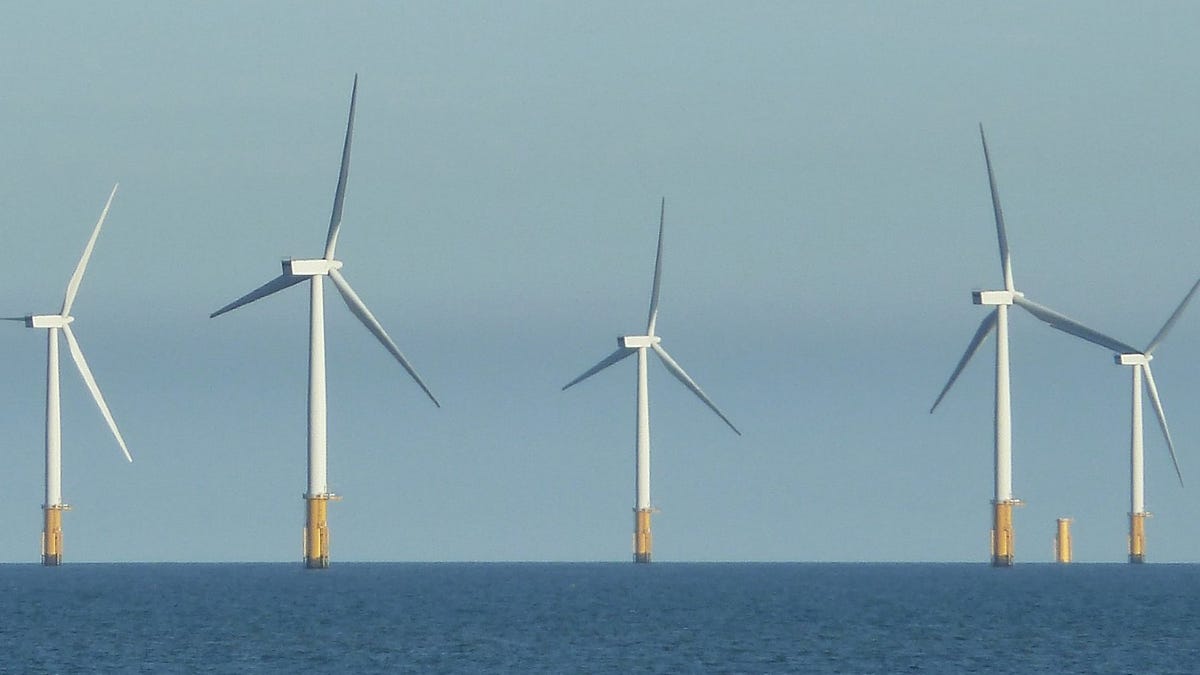 Brian Murray: Trump's Decision to Pause Offshore Wind Farms Creates Stormy Waters for NC Projects