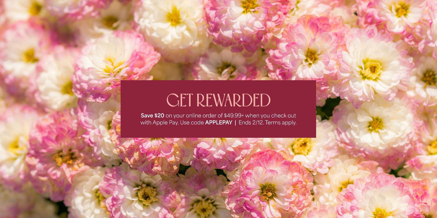 1-800-Flowers offers $20 off bouquets when using Apple Pay
