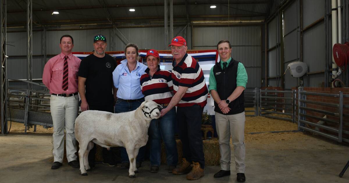 Top and clearance up at Ardene's Australian Whites auction at Mt Torrens