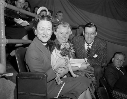 The Westminster dog show is turning 150. Here’s what has  –  and hasn’t  –  changed over time