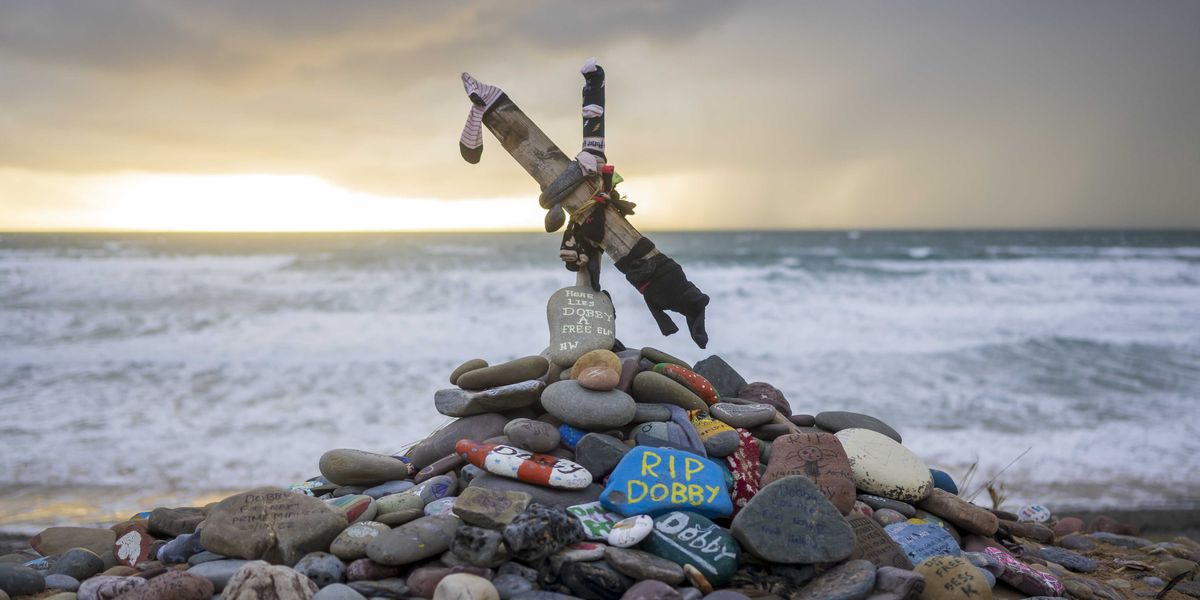 'Grow up': Pushback as Harry Potter fans forced sea cable to be relocated to avoid Dobby's ‘grave’
