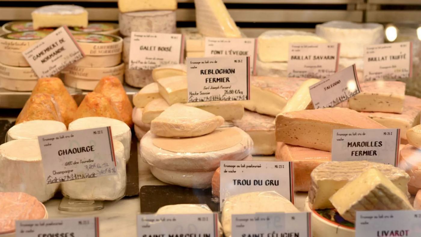 Cheese-Lovers Unite: The Benefits of Full-Fat Dairy Documented in Study Without Cholesterol Rise or Weight Gain