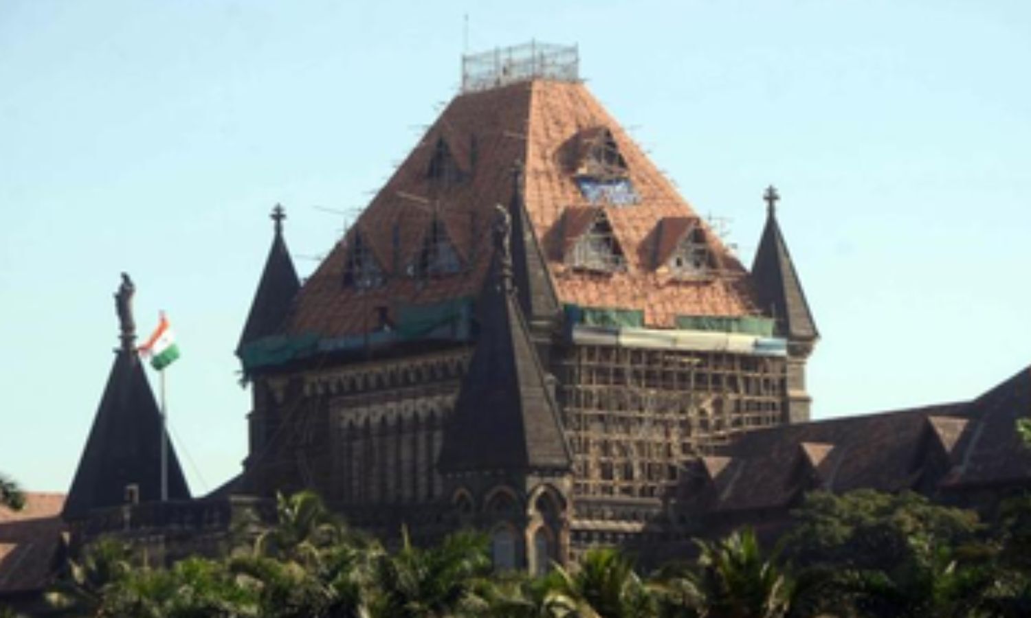 बॉम्बे हाईकोर्ट ने हड़ताल कर रहे डॉक्टरों को लगाई फटकार, काम पर तुरंत लौटने का दिया आदेश