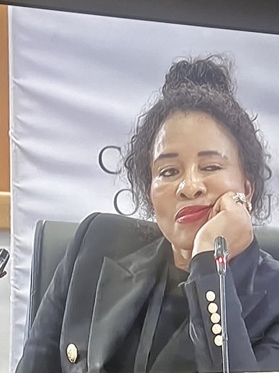 Madlanga Commission finds prima facie evidence against 14 individuals