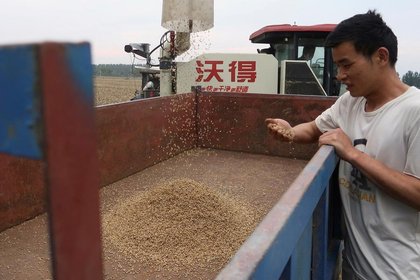 Soybeans, wheat and corn boosted by weak dollar, fund buying