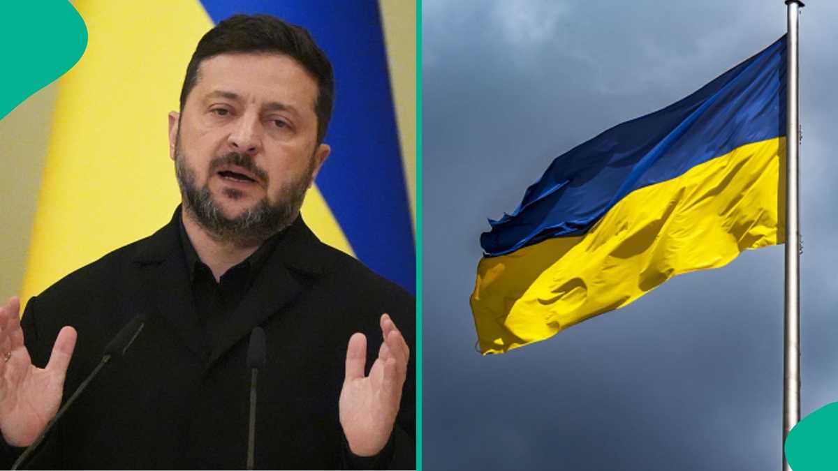Ukrainian government releases 6 official requirements for foreigners seeking citizenship