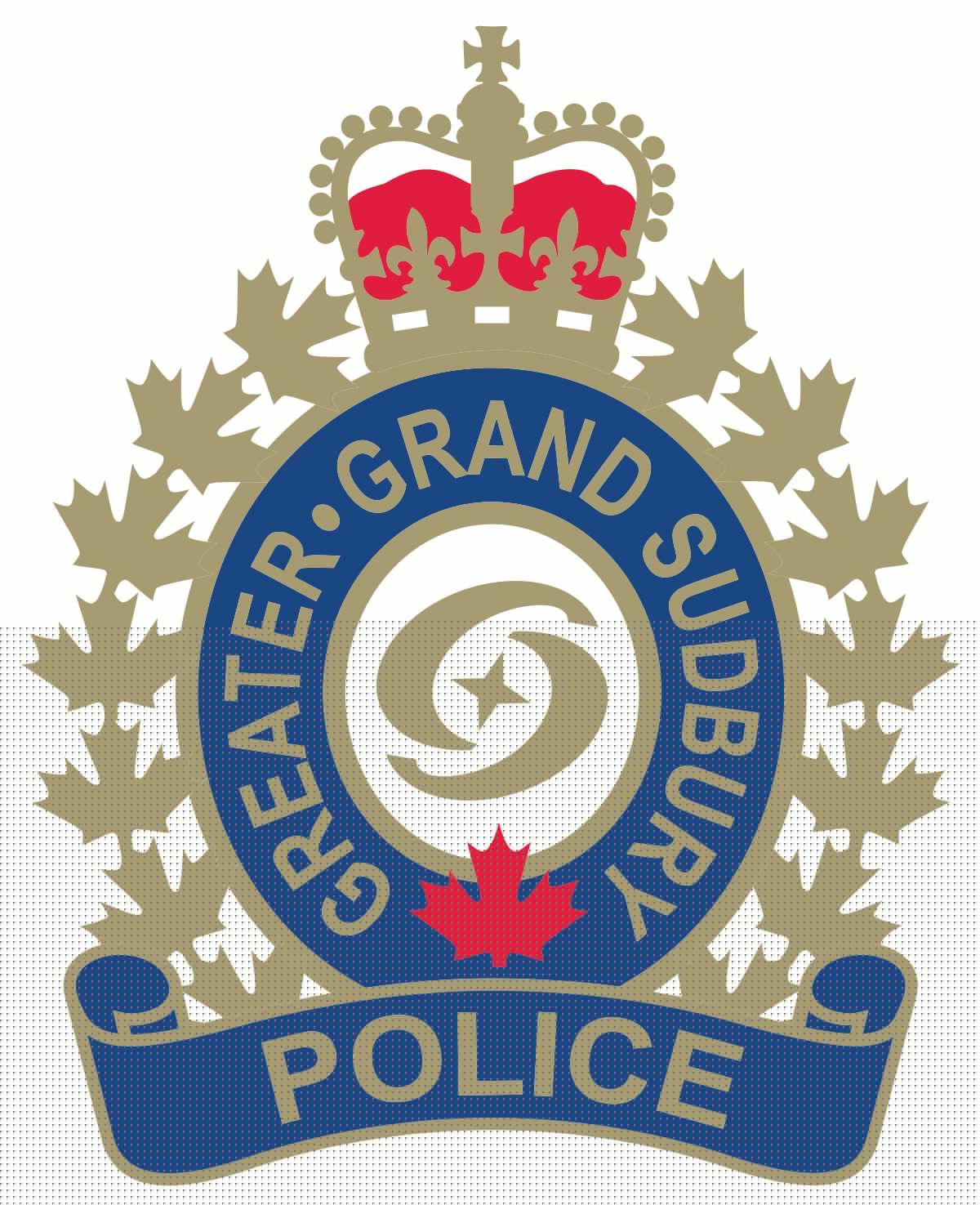 Sudbury man arrested following robbery on Regent Street: city police