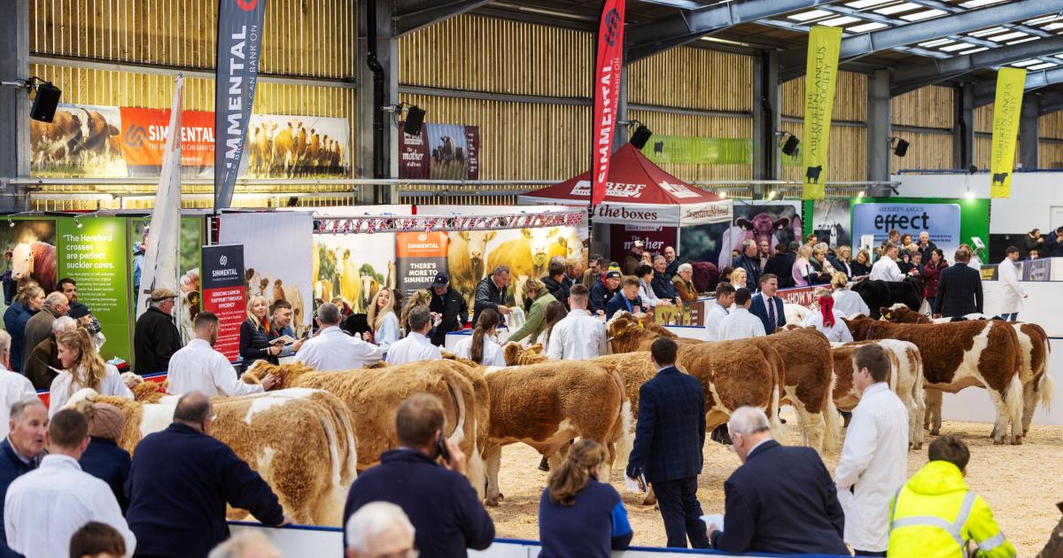 Borderway Agri Expo wins two more national championships