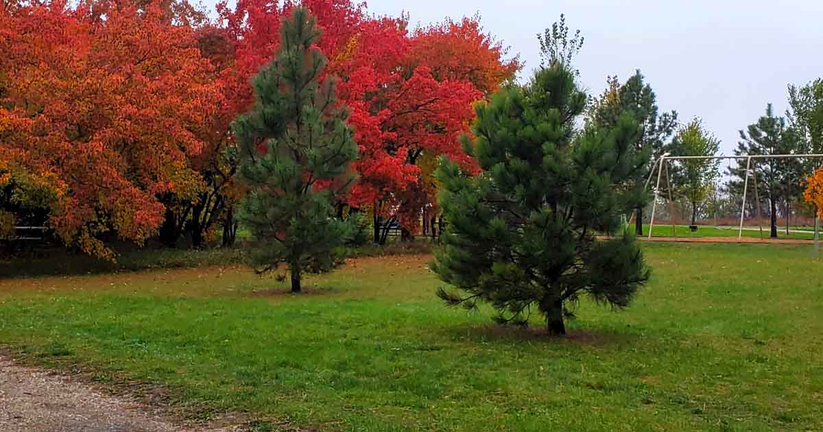 The Dreamy State Park In South Dakota Where You Can Truly Get Away From It All