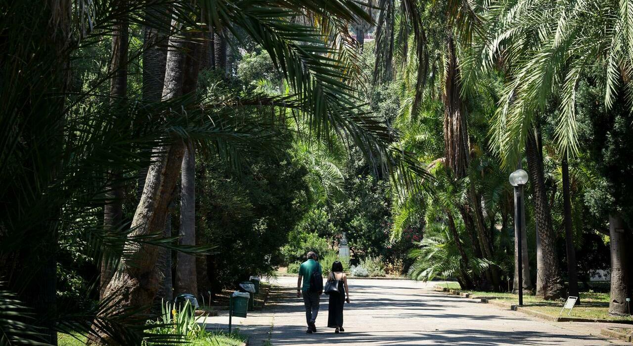 Napoli, dall&rsquo;Orto a Capodimonte, ecco la mappa dei parchi: &laquo;Qui c&rsquo;&egrave; un po&rsquo; di fresco&raquo;