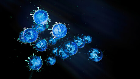 Victoria detects H5N1 avian influenza strain