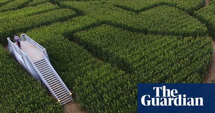 ‘When you’re in the corn, everything looks the same’: it’s fun to get lost in California’s giant corn maze