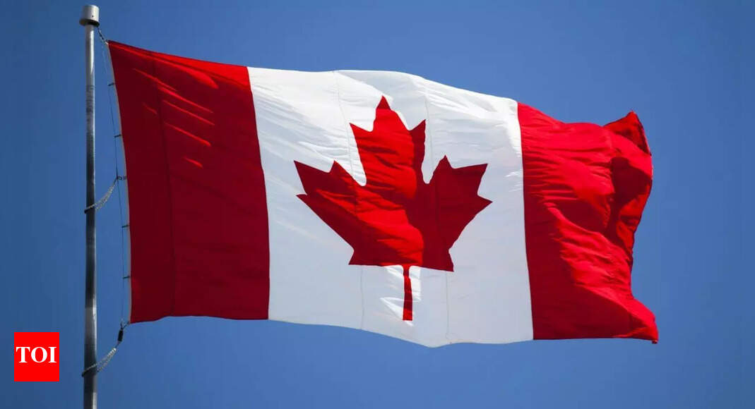 Came to study, turned to selling drugs owing to debts: Indian student Jatinderpal Singh sentenced to 11 years in prison in Canada