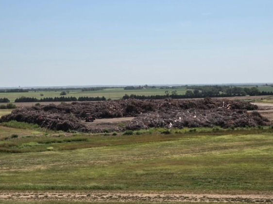 Commercial Hauler Limb Debris Fees returning
