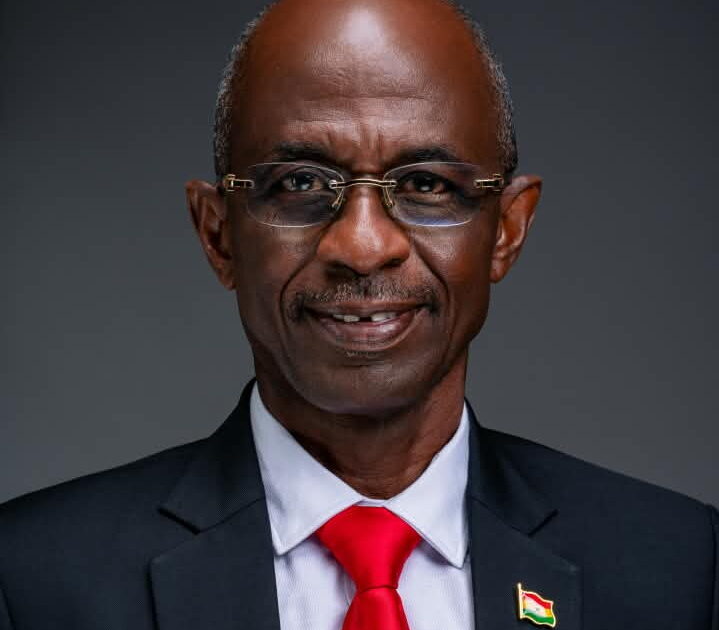 Political parties, judiciary must reform themselves to protect Africa’s democracy – Asiedu Nketia