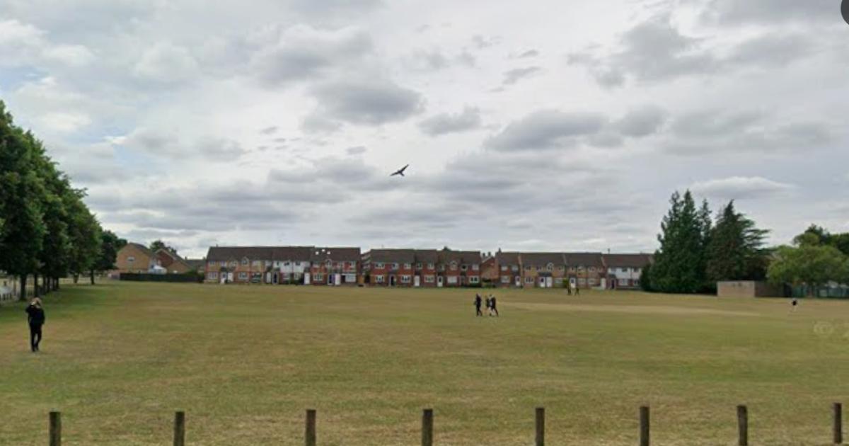 Police search park after report of man walking around with air rifle