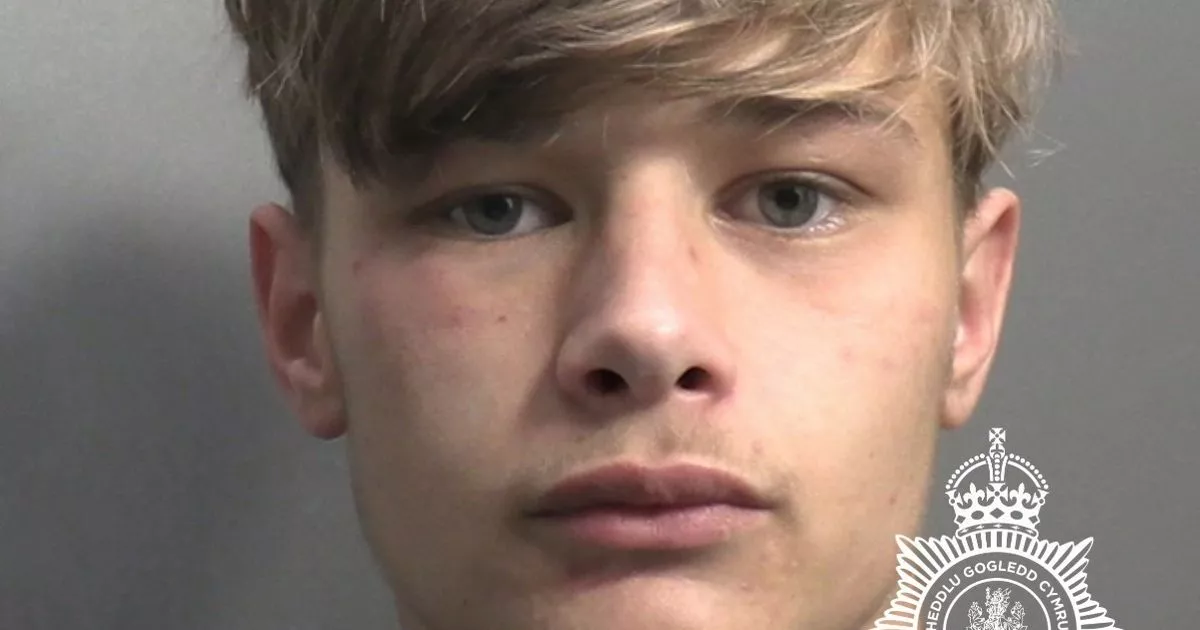 Teenage scooter rider doing 60mph in a 20 zone sent pedestrian 'flying 10ft in the air'