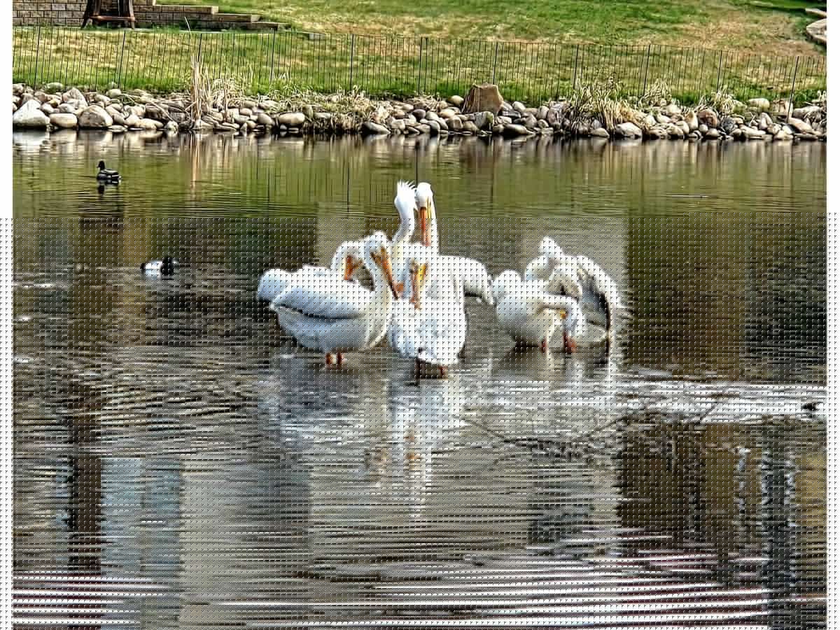 Long weekend leisure in Strathcona County