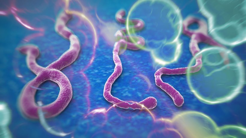 Comment on Ebola “Contained?” Yeah Right by Magnezyum, Magnezyum fizyolojisi, Mineral, Enzim, Kofaktör, Kas kas?lmas?, Kalp at???, Kan ?ekeri, Kan bas?nc?, Magnezyum eksikli?i, Yorgunluk, Kas kramplar?, Ba? a?r?s?, Uyku bozukluklar?, Anksiyete, Depresyon, Osteoporoz