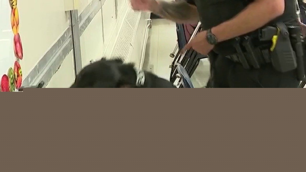 School bus safety tips, K9 program at Cobb schools