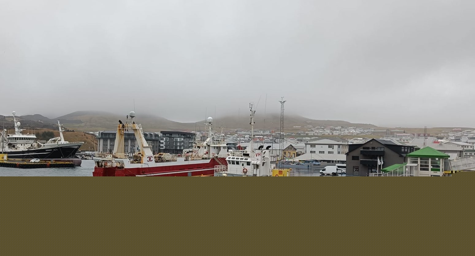 Iceland demands fisheries control under EU as sector issues warning