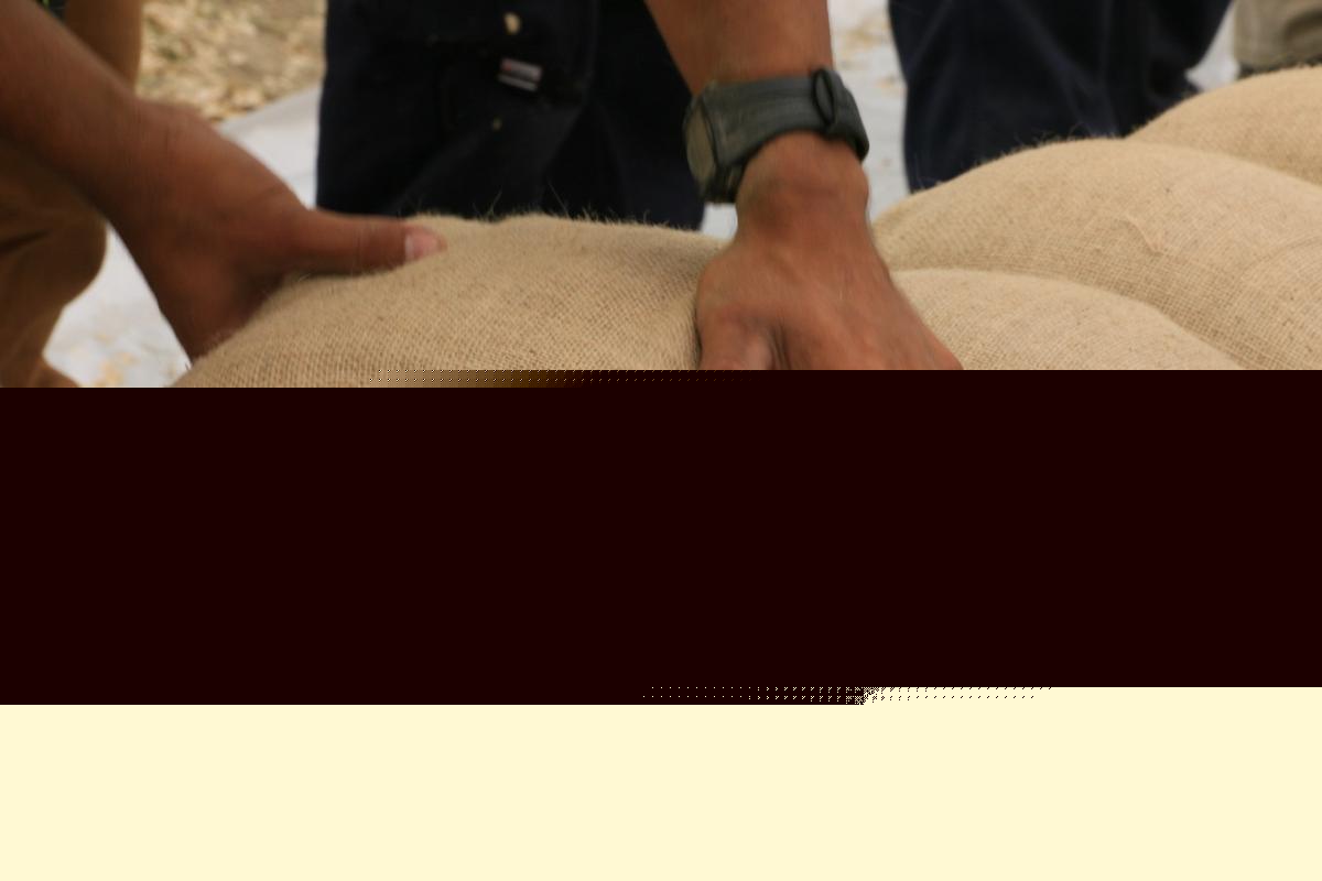 Acadiana Parishes Open Sandbag Sites Ahead of Tropical Storm Bertha — Find the Location Nearest You