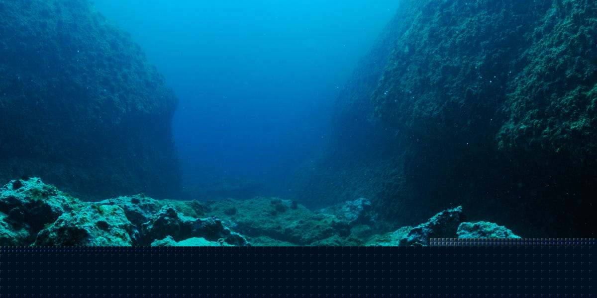 A New Predator Has Emerged From the Deepest, Darkest Part of the Ocean
