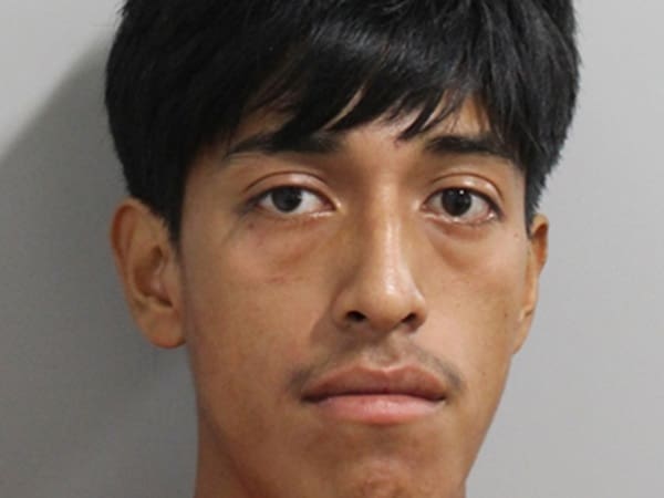 Man Arrested in Central Florida for Attack on Pregnant Woman, Child