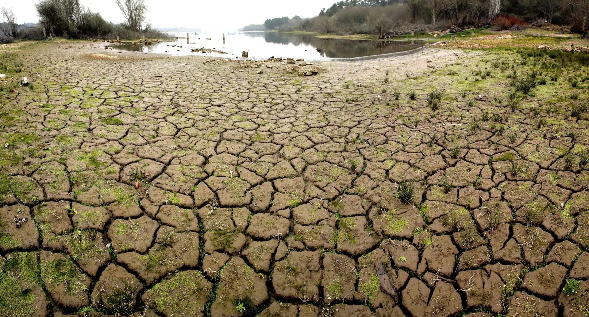 Una idea ecológica contra la sequía: una joven científica de Florida crea esferas biodegradables para ahorrar agua