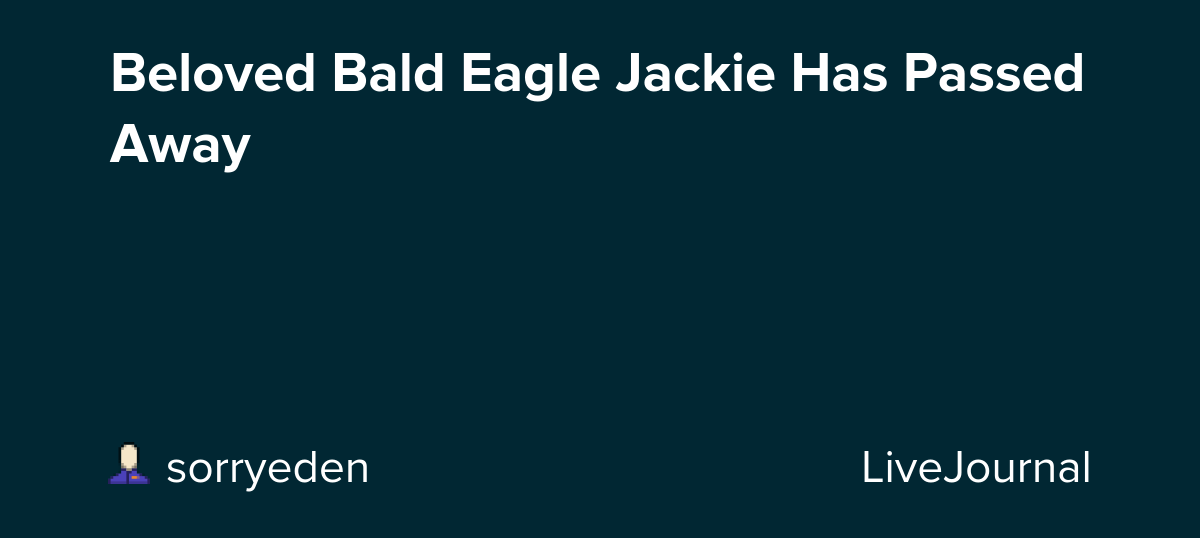Beloved Bald Eagle Jackie Has Passed Away 🦅