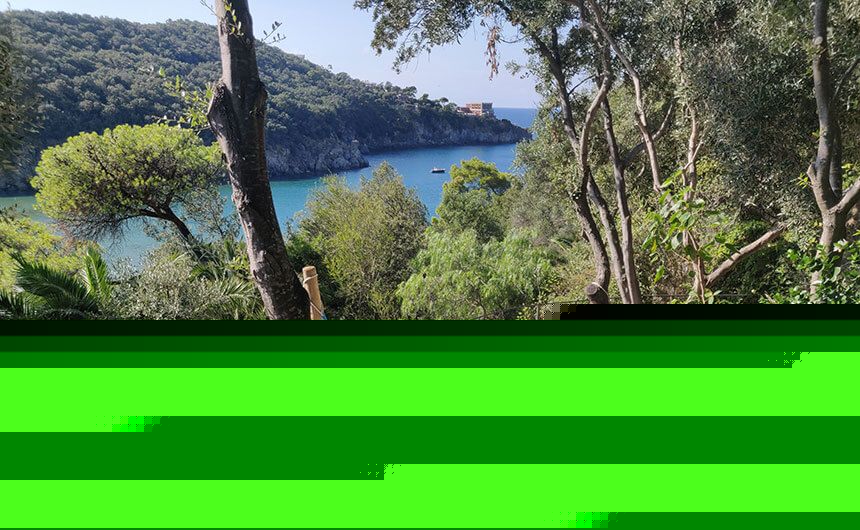 Comment on Visiting Negombo, Ischia’s best thermal spa – review and advice for your visit by Helen