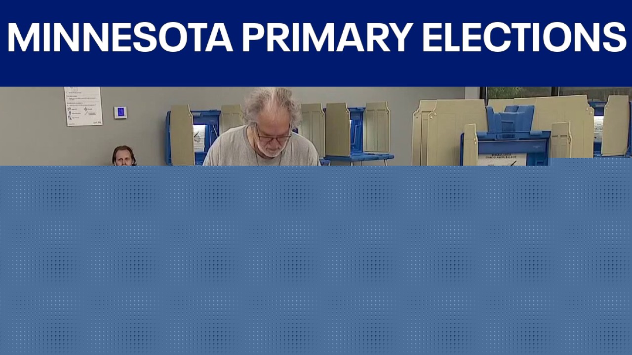 Minnesota primary elections: Key under the radar races